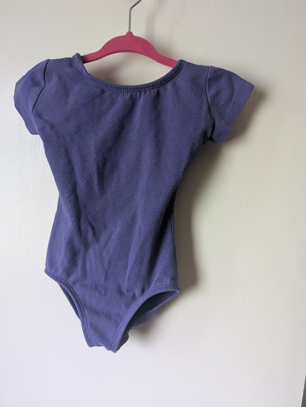 Purple Leotard Dance Theater Gym